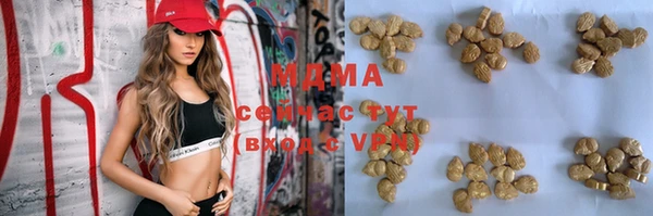 хмурый Няндома
