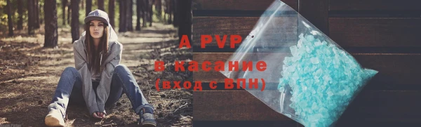 ПСИЛОЦИБИНОВЫЕ ГРИБЫ Белокуриха