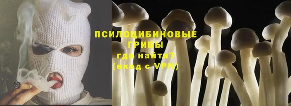 бошки Богданович