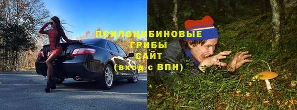 ПСИЛОЦИБИНОВЫЕ ГРИБЫ Белокуриха